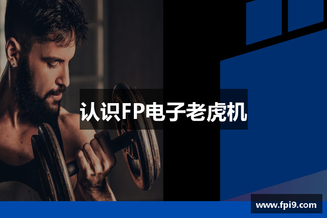 认识FP电子老虎机